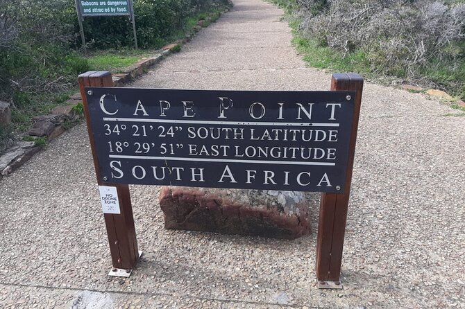 Private Tour From Cape Town to Cape of Good Hope and Cape Point - Customer Interaction