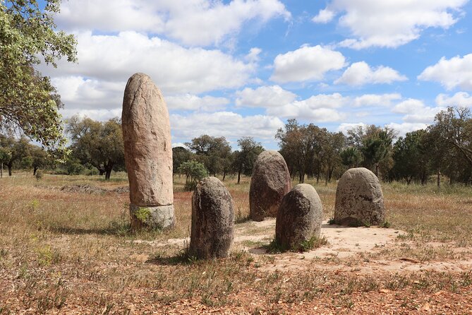 Private Tour in Évora With Alentejo Wines and Cork - Expert Guide Commentary