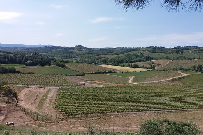 Private Tour in San Gimignano and Chianti Day Trip From Florence - Additional Activities Available