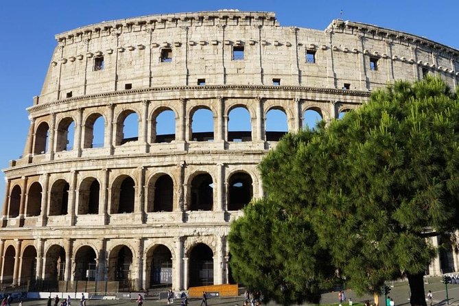 Private Tour of Ancient Colosseum and Roman Forum - Booking and Reservation Guidelines