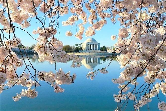 Private Tour of Washington DC - Up to 12 Guests - Additional Information