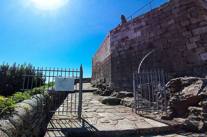 Private Tour to Lamego and Viseu, the Dão Wine Region - Weather and Experience Considerations