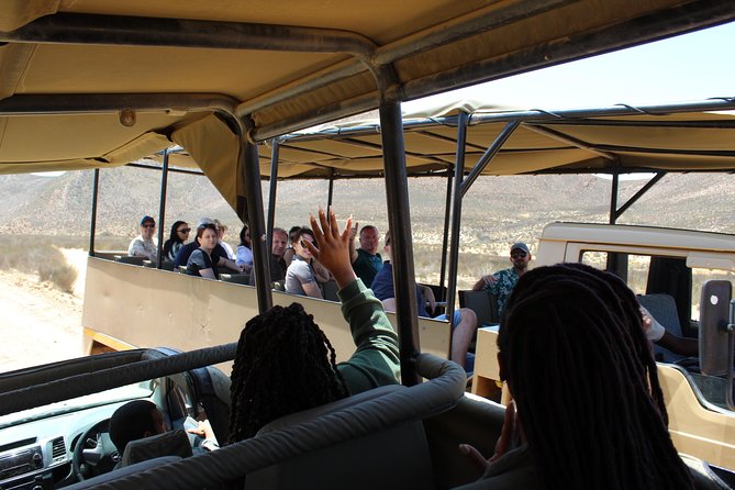 Private Transfer to Safari Big 5 at Aquila From Cape Town Excluding Entry Fees - Common questions