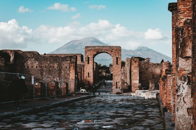 Private Transfer/Tour From/To Naples To/From Sorrento With Stop in Pompeii - Last Words