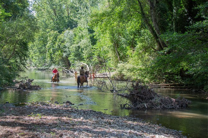 Private Tuscany Horseback Ride - Indulge in a Memorable Ride