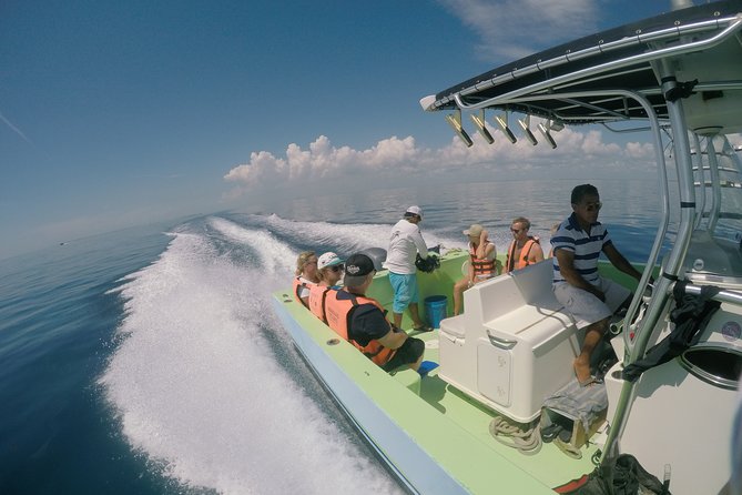 Private Whale Shark All Inclusive Experience - Swimming With Whale Sharks