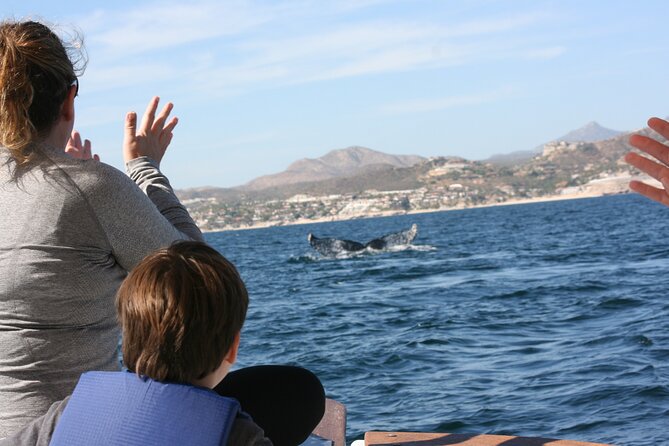 Private Whale Watching in San José Del Cabo - Booking Confirmation Process