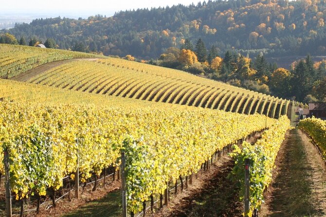 Private Willamette Valley Wine Tour From Portland (All Tasting Fees Included) - Common questions