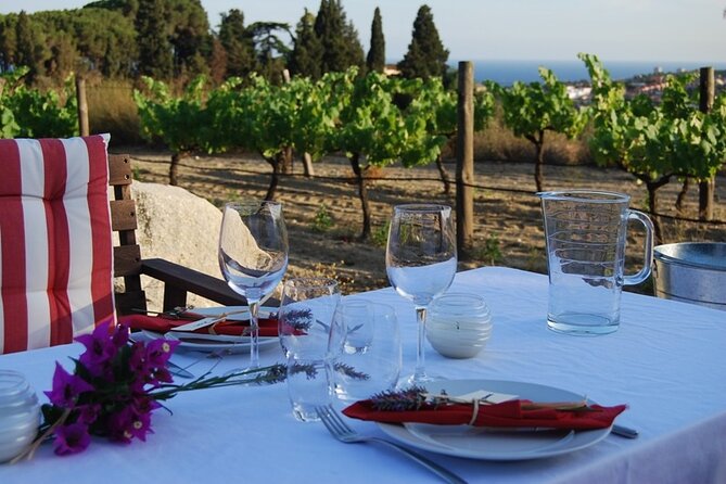 Private Wine Tasting Tour With Picnic Lunch and Hotel Pick up Near Barcelona - Last Words