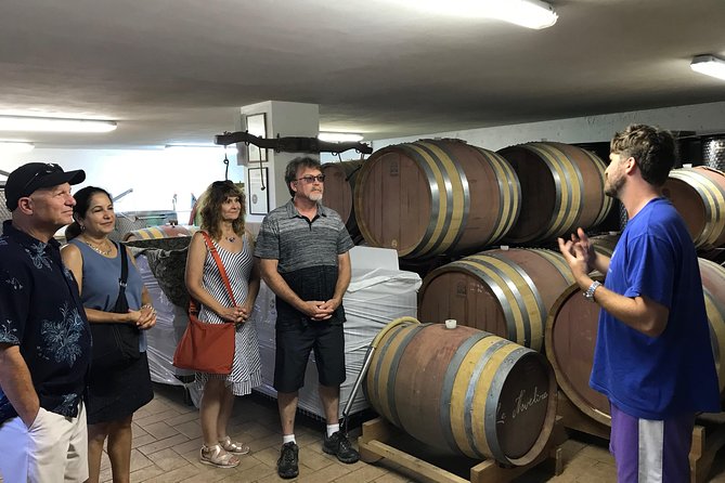 Private Wine Tour - 2 Beautiful Wineries and Lunch in the Heart of Bolgheri - How to Book