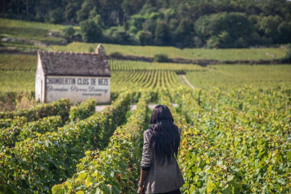 Private Wine Tour in Côte De Nuits and Côte De Beaune - Overall Experience