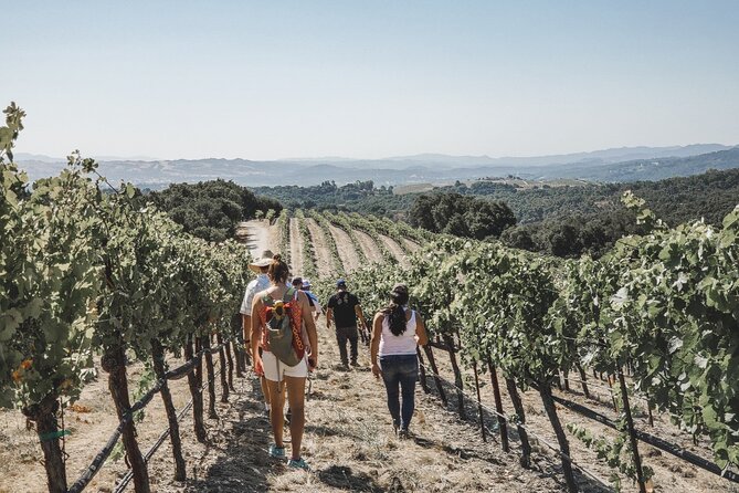 Private Wine Tour in Paso Robles - Additional Travel Information