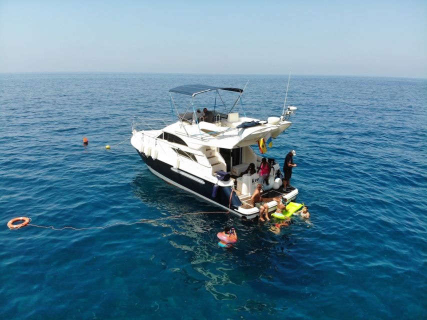 Puerto De Mogan : Dolphin Boat Trip - Common questions