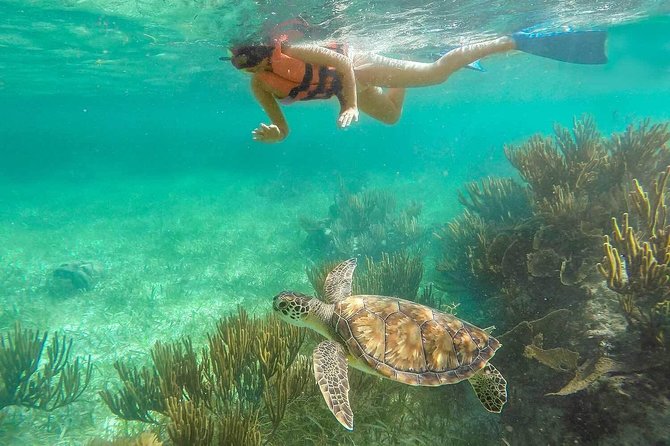 Puerto Morelos Reef Snorkeling Tour With Pickup - Cancellation Policy
