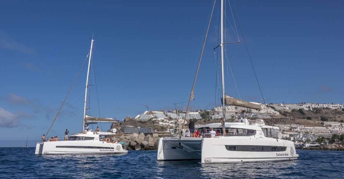 Puerto Rico De Gran Canaria: Private Catamaran Charter - Common questions