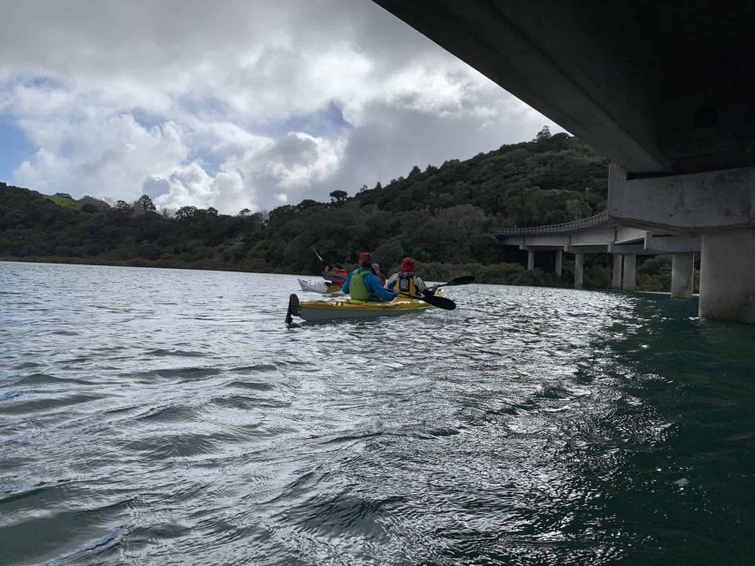 Puhoi Pub River Paddle - Common questions