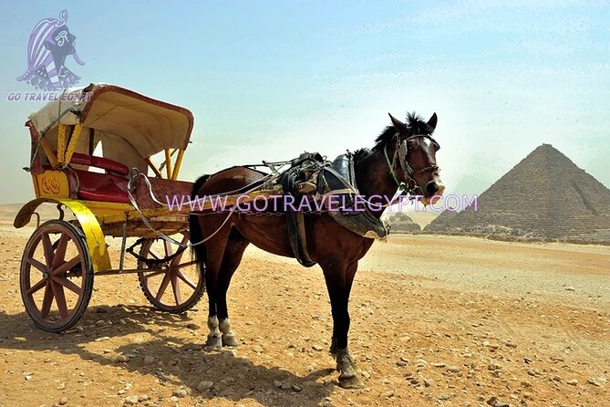 Pyramids and Sphinx, Sakkara, Memphis, and Dahshur (With Private Guide and Car) - Customer Reviews