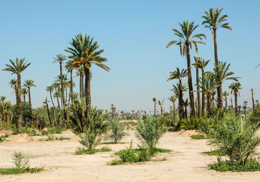 Quad Biking Tour in Marrakech - Directions