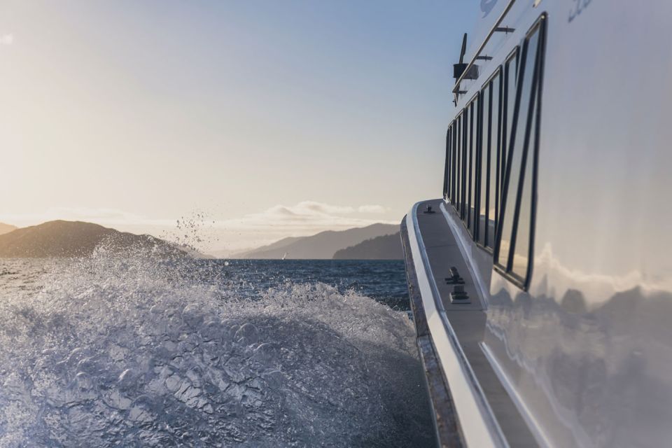 Queen Charlotte Sound: Scenic Cruise & Lunch - Customer Feedback