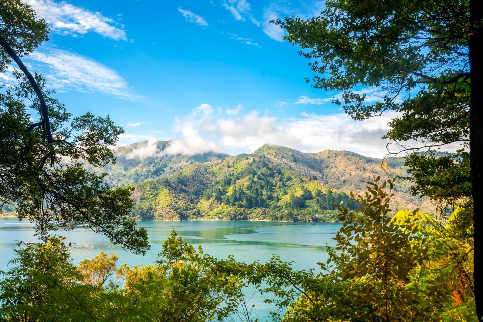 Queen Charlotte Track: Cruise & Self-Guided Hike From Picton - Ticket Details