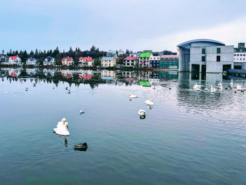 Reykjavik: City Walking Tour in Small Group With Local Guide - Guided Walk