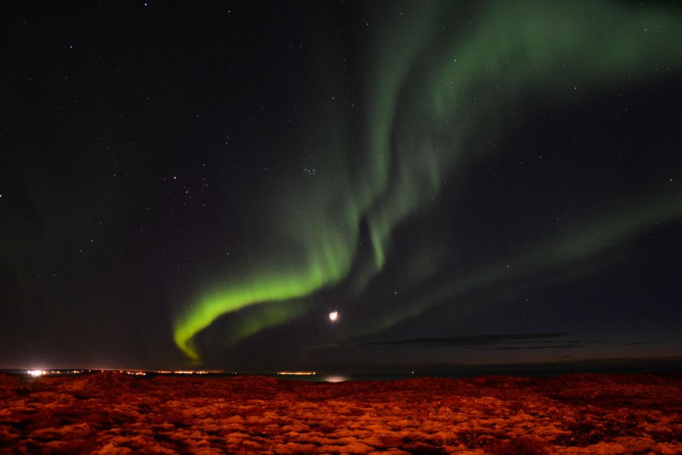 Reykjavik: Northern Lights Motor Yacht Cruise - Inclusions