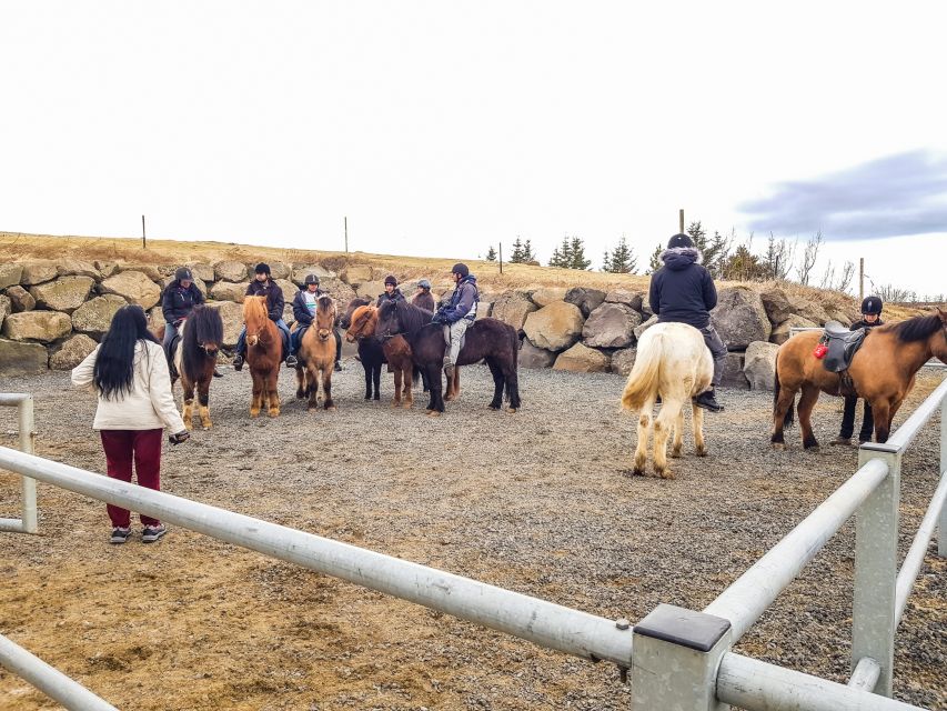 Reykjavik: Red Lava Horse Riding Tour - Safety Considerations