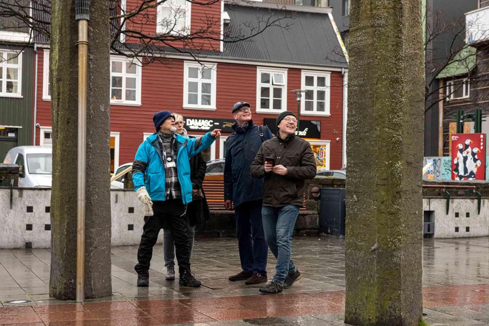 Reykjavik: Sightseeing Walking Tour With a Viking - Expert Guide and Local Insights