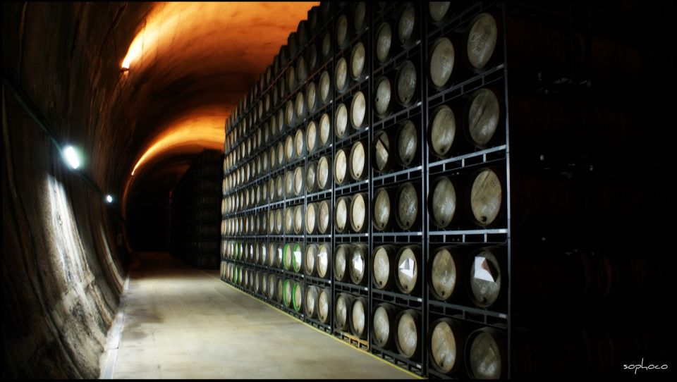 Rioja: Private Wine Tasting Tour - Customer Reviews