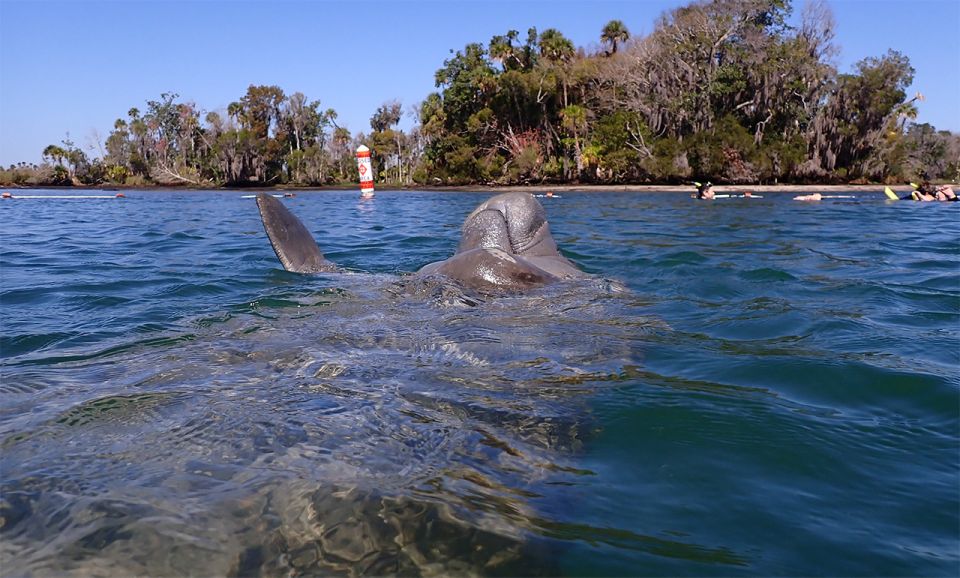 River Cruise With Manatee Viewing - Directions