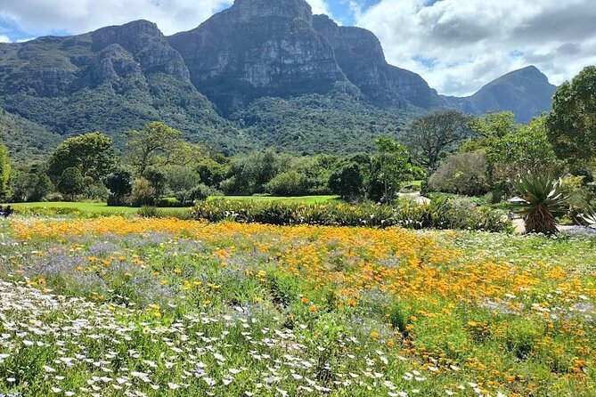 Robben Island, Table Mountain and Kirstenbosch From Cape Town - Customer Reviews and Ratings