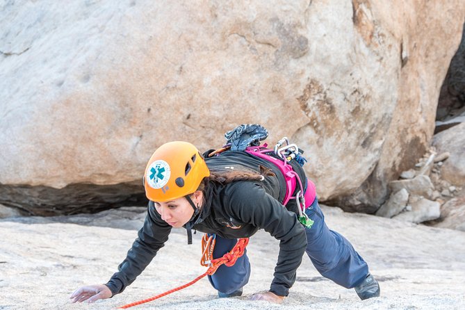 Rock Climbing Trips in Joshua Tree National Park (6 Hours) - Customer Support and Contact Information