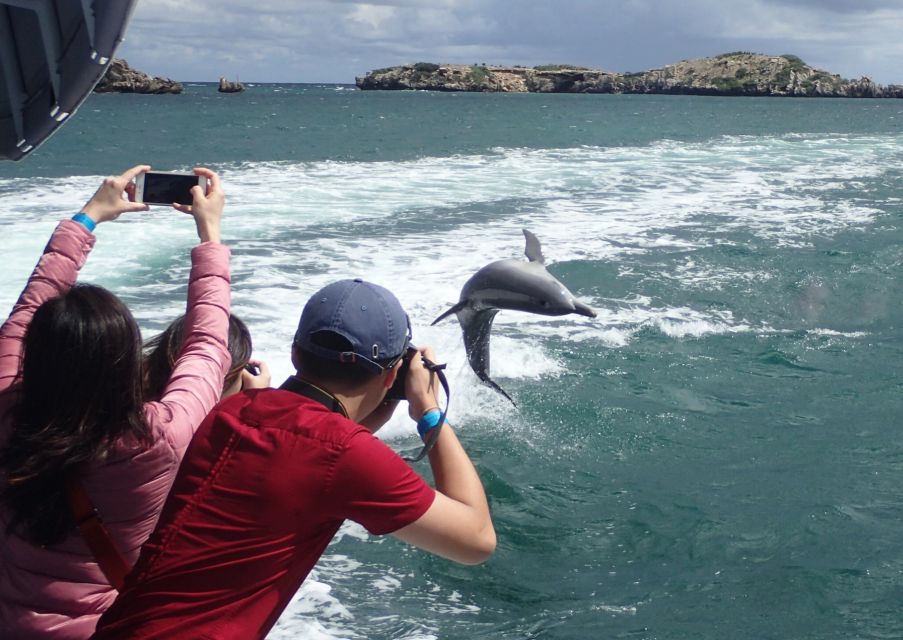 Rockingham: Shoalwater Islands Tour and Penguin Island - Directions