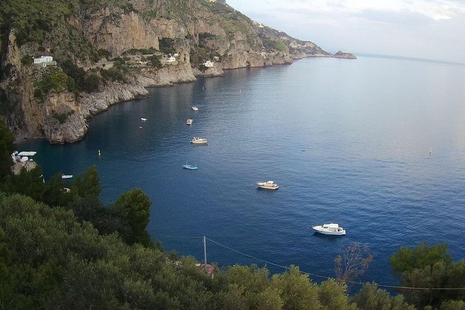 Rome to Amalfi Coast Positano and Sorrento: Private Day Trip - Contact Information and Pricing