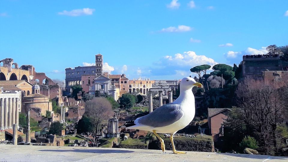 Rome: Vatican, & Colosseum Tours W/Lunch Tkts and Transfers - Visitor Reviews and Ratings