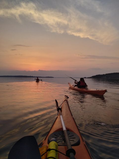 Roskilde: Guided Kayaking on Roskilde Fjord: Sunset Tour - Last Words