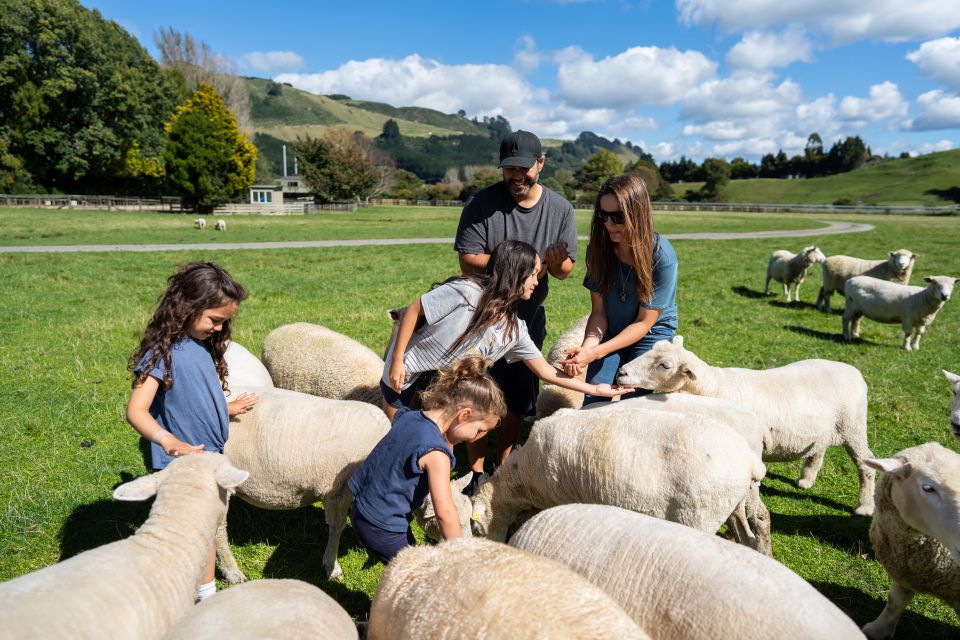 Rotorua: Agrodome Farm Tour With Show and Produce Tasting - Booking and Reviews