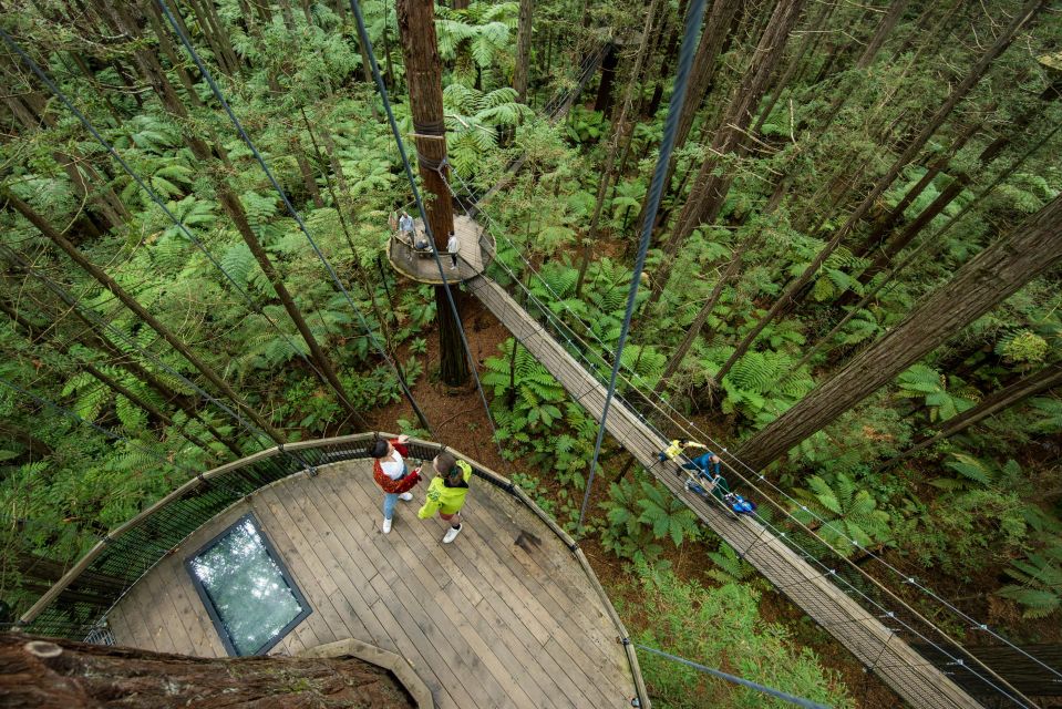 Rotorua: Redwoods Altitude & Day/Night Treewalk Combo - Health and Safety Requirements