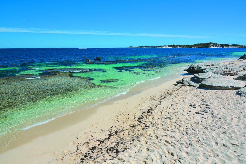 Rottnest Grand Island Package With Ferry, Tour & Light Lunch - Last Words