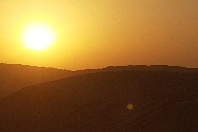 Royal Desert Safari Tour With Dinner At Al Hadheerah (Bab Al Shams) - Special Offers and Discounts