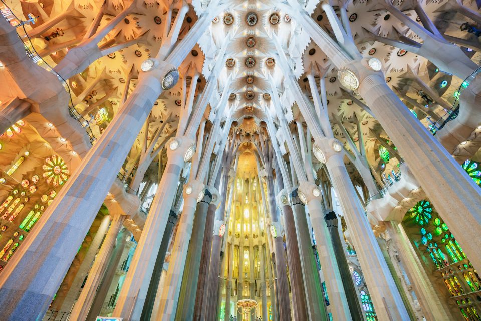 Sagrada Familia: Fast-Track Access Guided Tour - Visitor Reviews