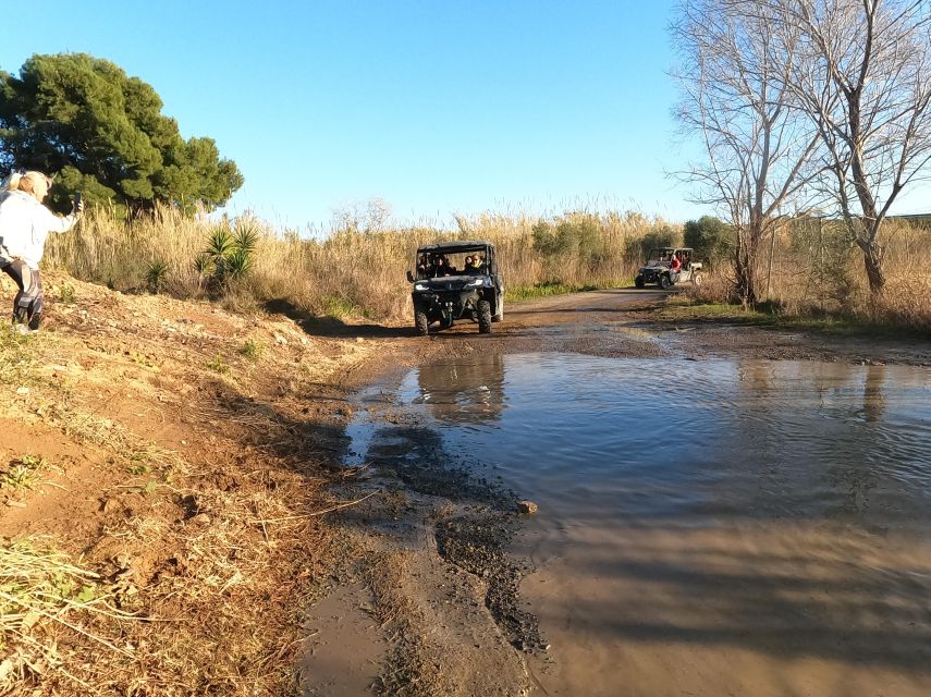 Salou: Buggy Safari With Hotel Transfer - Full Description