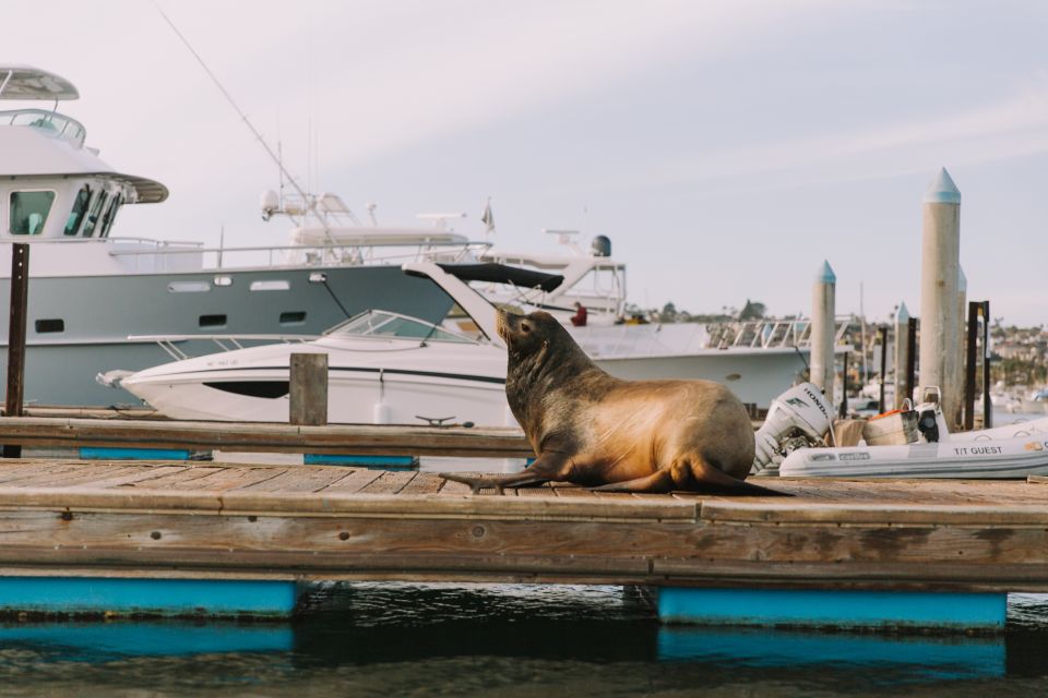 San Diego Bay: Eco-Pedal Boat Rental - Essential Items & Restrictions