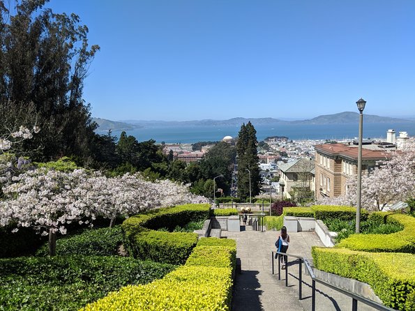 San Francisco Private City Tour - Traveler Reviews and Feedback