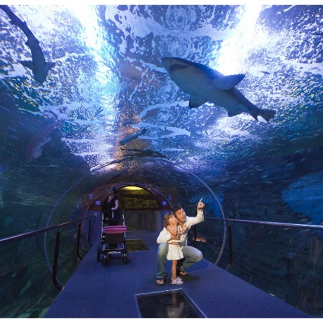 San Sebastian Aquarium Entry Ticket and City Walking Tour - Booking Information