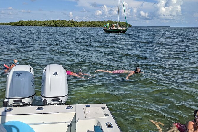 Sandbar Excursion in Key West - Customer Reviews and Ratings