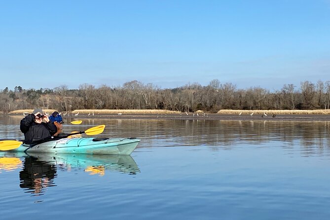 Sandhill Crane Kayak Tour With Chattanooga Guided Adventures - Safety Measures