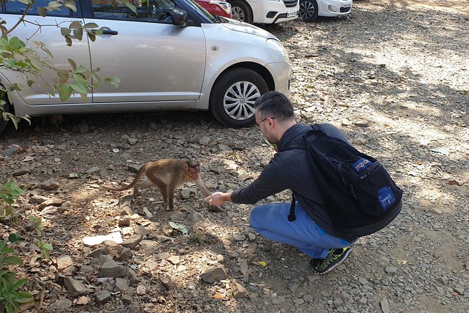 Sanjay Gandhi National Park(SGNP) Kenheri Caves Lion Safari Jain Temple - Last Words