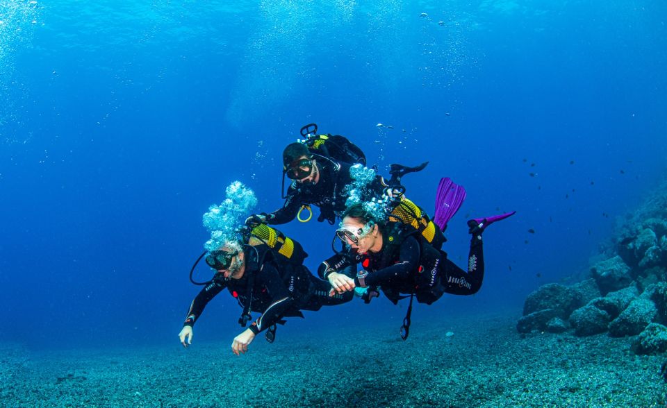 Santa Cruz De Tenerife: Introductory Diving Course & 2 Dives - Common questions