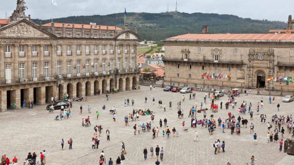 Santiago De Compostela Private Tour From Lisbon - Transportation and Logistics